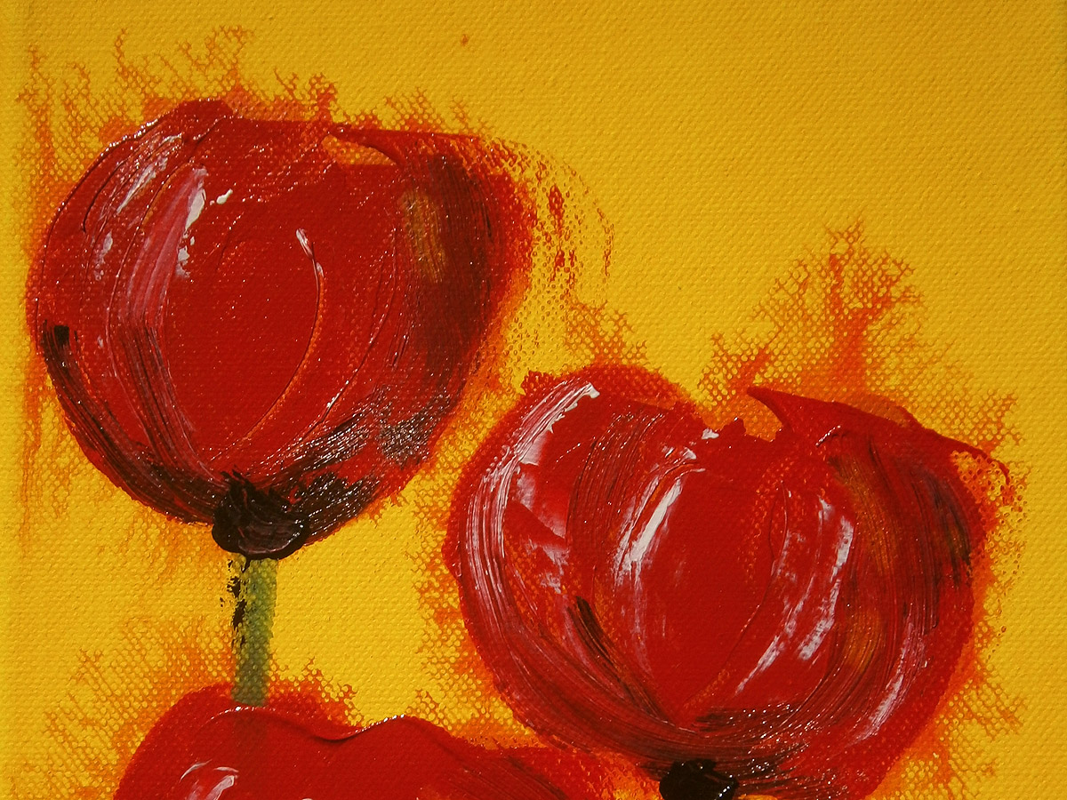 post-bilder-mohn-detail