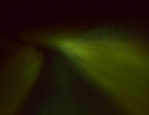 A traveller's tale from the night
