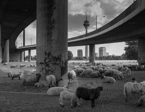 Düsseldorf