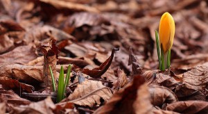 life after death