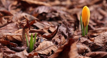life after death