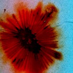 rusty flower