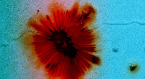 rusty flower