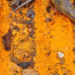 Rusty orange hues