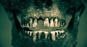 Skull