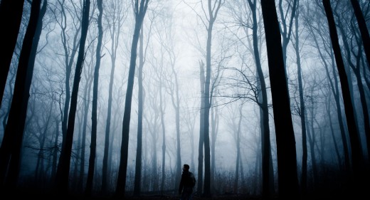 In The Forest Midst