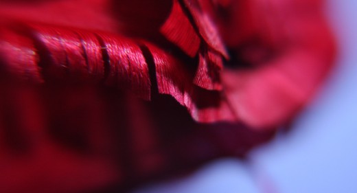 Feather Rose
