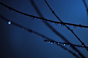 Night Drops