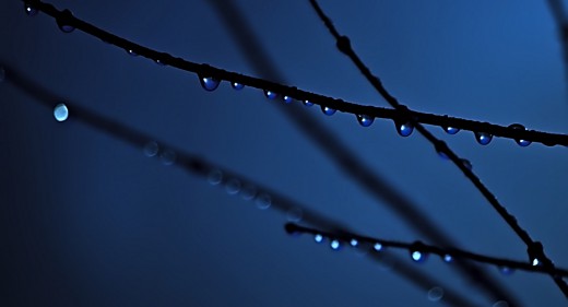 Night Drops