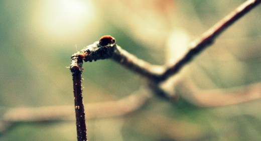 fragile
