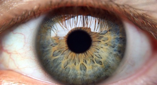 Eye