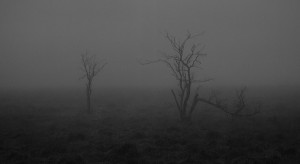 Silence