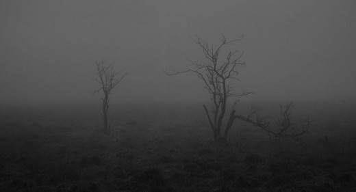Silence