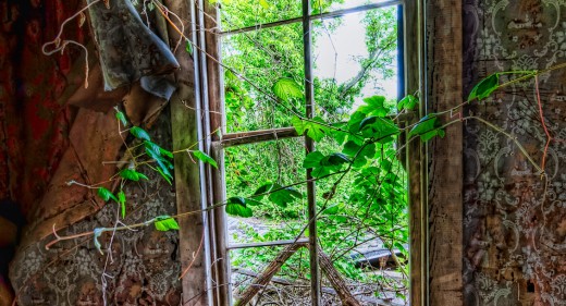 Bedroom Window