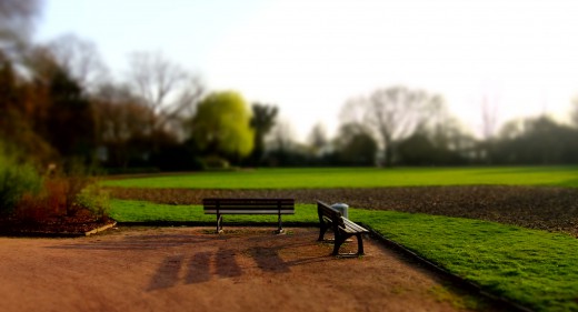Benches and a green field