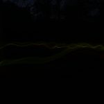 Disappearing Green