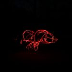Writings in the Dark
