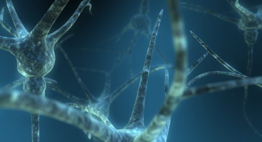 Dual_Neuron