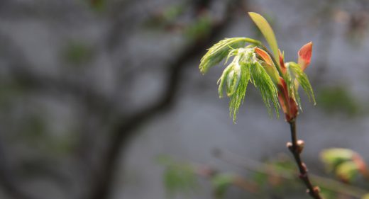 Hanshan Temple, Suzhou