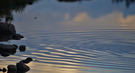 ~ the ripple effect ~