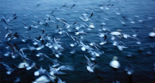 blurred movement