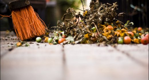 Broom and Windfall