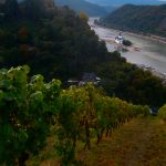 Blick auf die Burg Pfalzgrafenstein