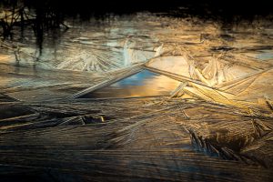 Crystal Puddle