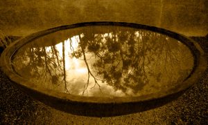 Bush Fire Reflection, Victoria